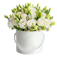 קופסאות פרחים